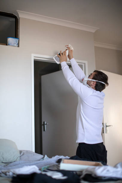 Best Mold Damage Restoration  in Tellico Village, TN