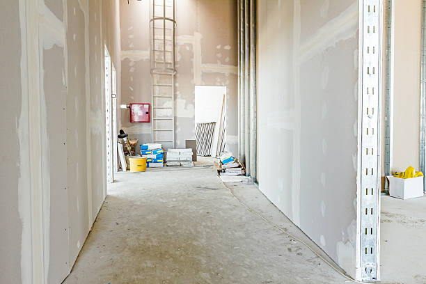 Biohazard Mold Removal in Tellico Village, TN
