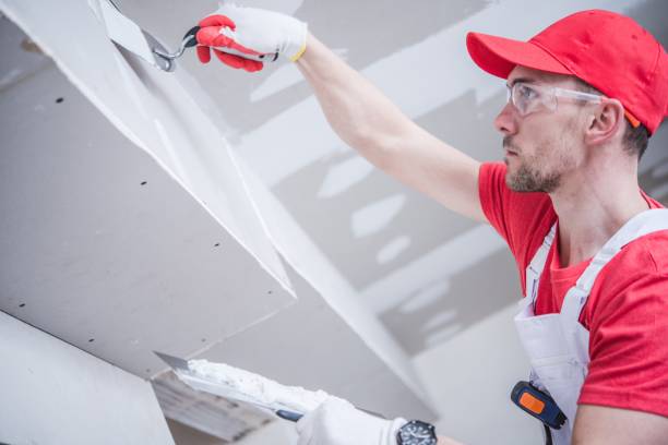 Best Attic Mold Removal  in Tellico Village, TN